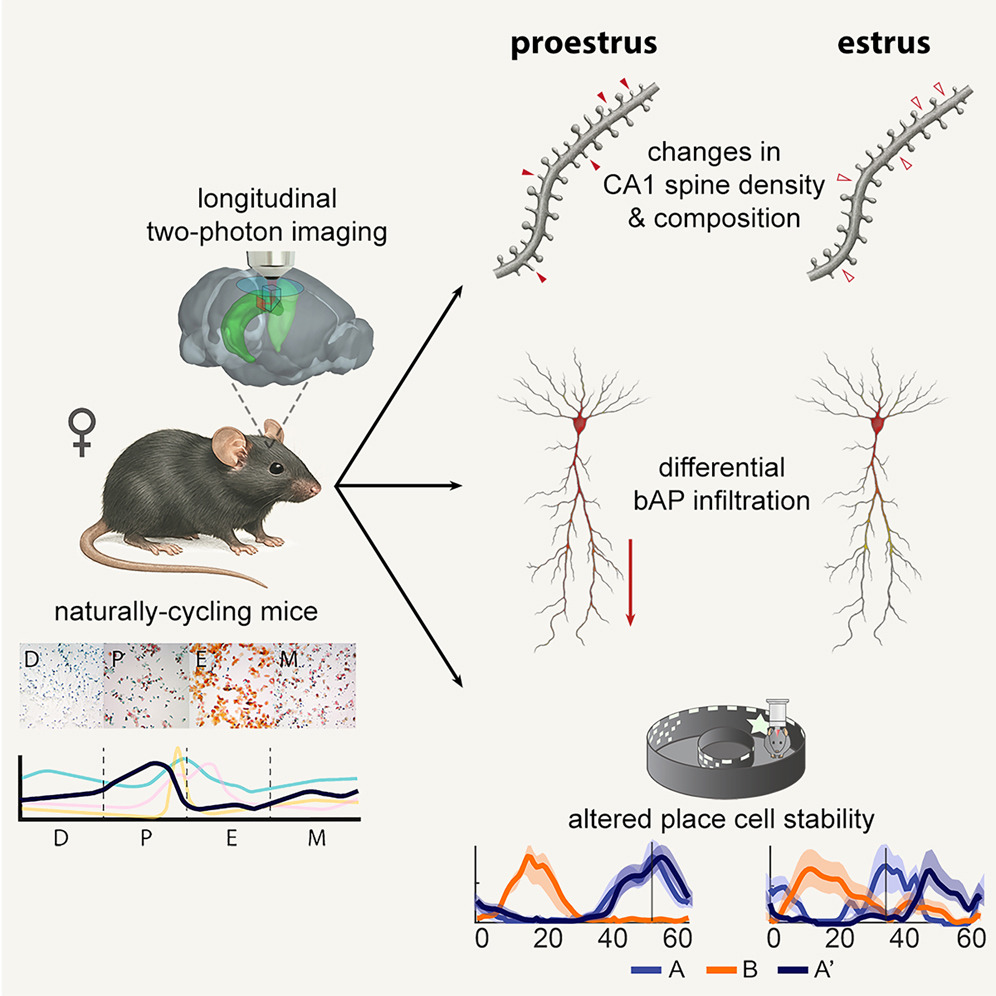 Abstract visualization